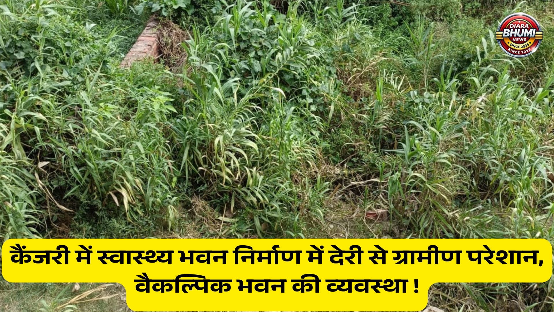 KAINJRI BELDAUR NEWS